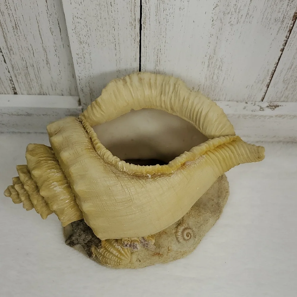 Conch Shell Seashell Planter Beach Ocean Coastal Decor